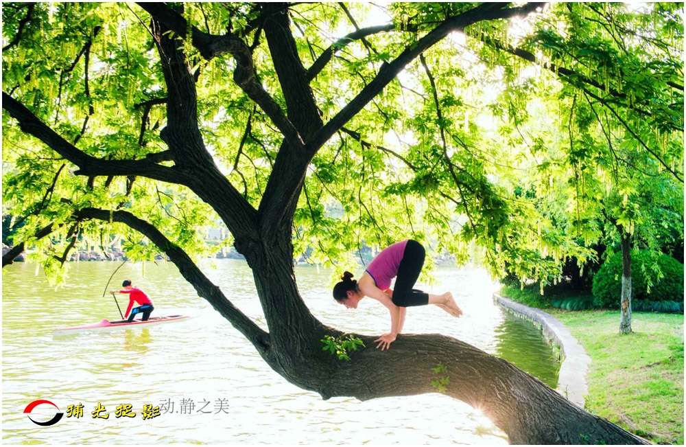 15动静之美  吴太明.jpg