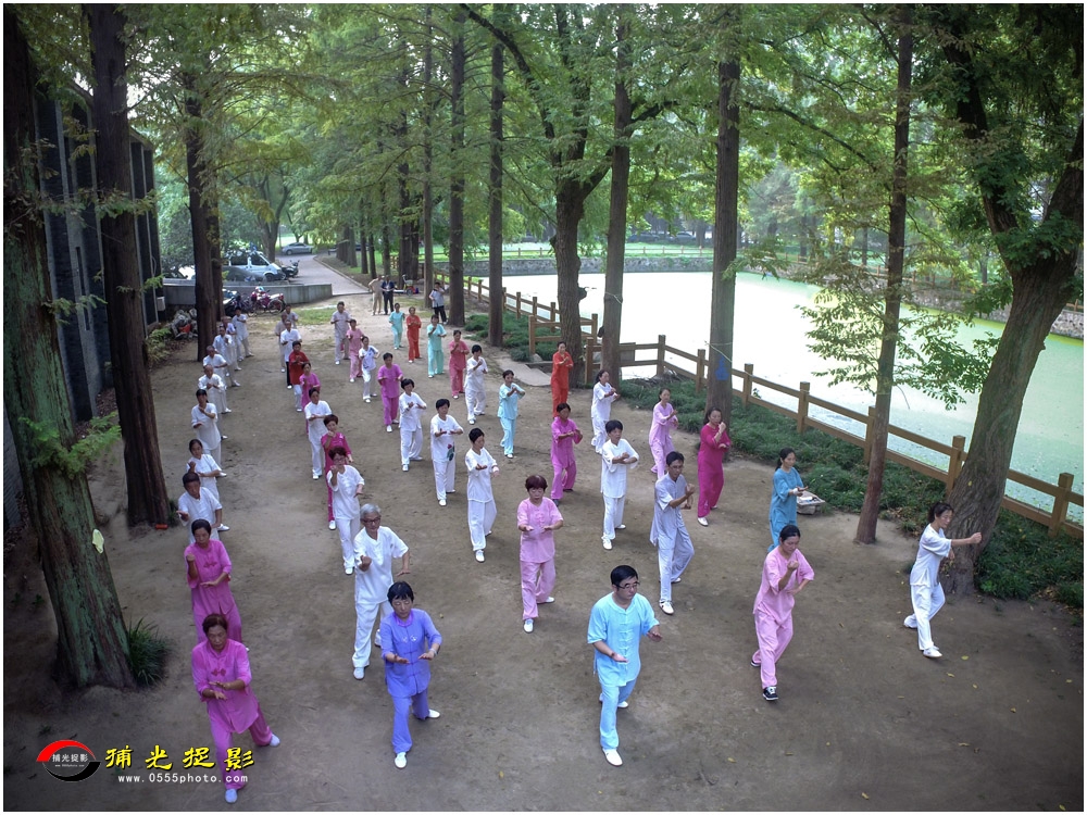 13树荫下齐亮拳姿   唐承斌.jpg
