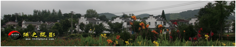 19美丽乡村  陈苏华.jpg