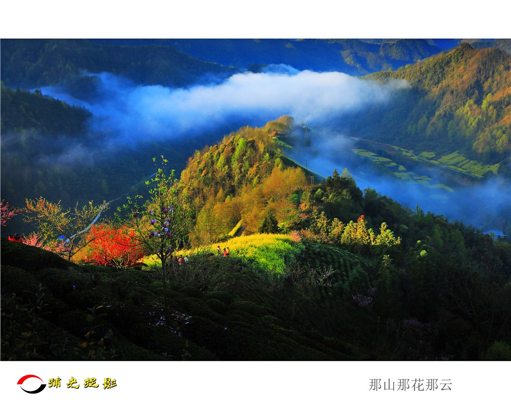 张梅生《那山那花那云》.jpg