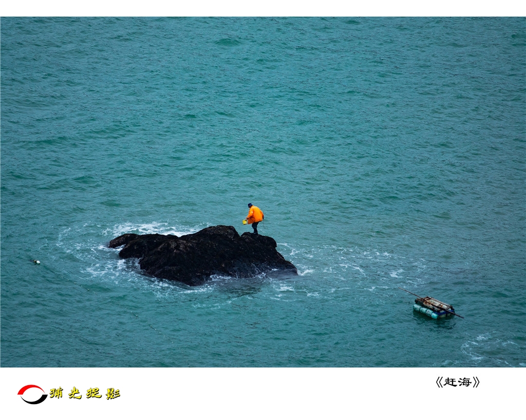 李茂《赶海》.jpg