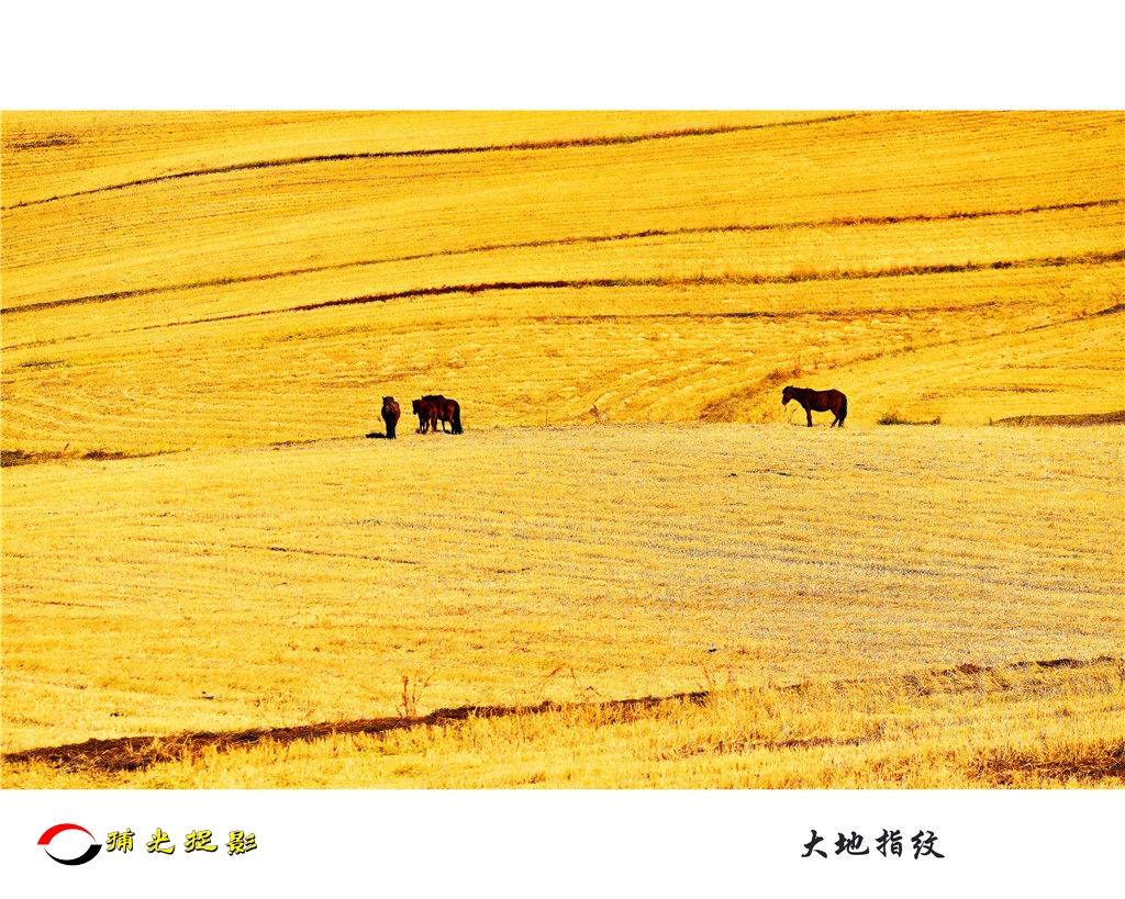 汪国平 《大地指纹》.jpg