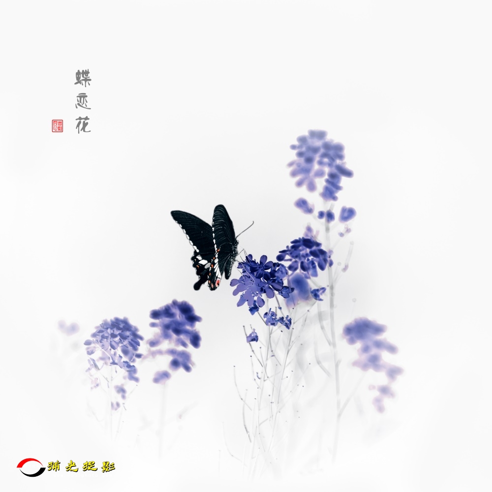 _36A8222-1_副本.jpg