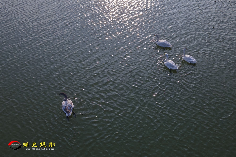 DJI_0140-k.jpg