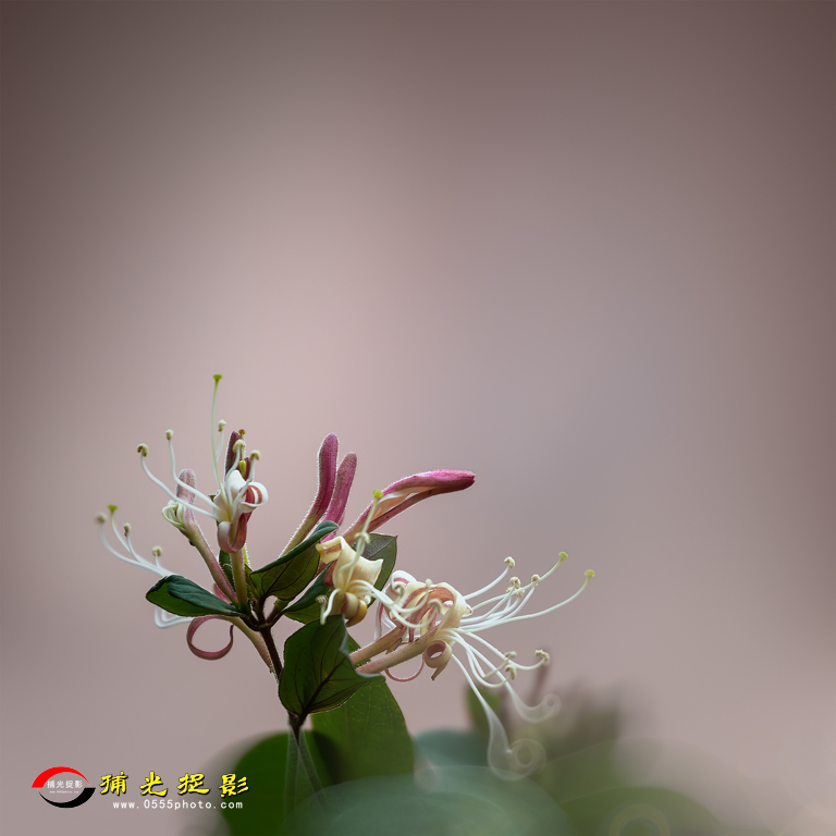 B36A8873-1.jpg
