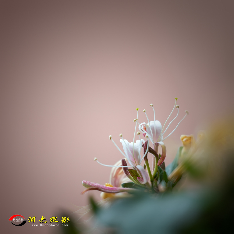 B36A8896-1.jpg