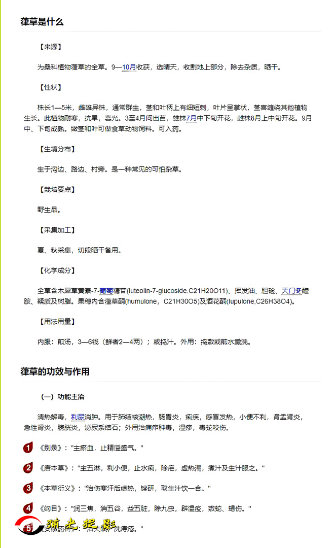 说明.jpg