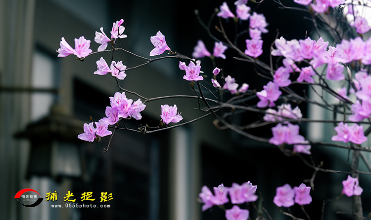 未标题小.jpg