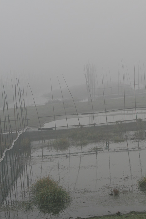 [原创]石臼湖拍摄花絮－－－－有喜有悲，有惊无险