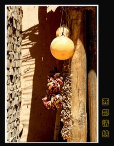 写给江南灵儿的情书