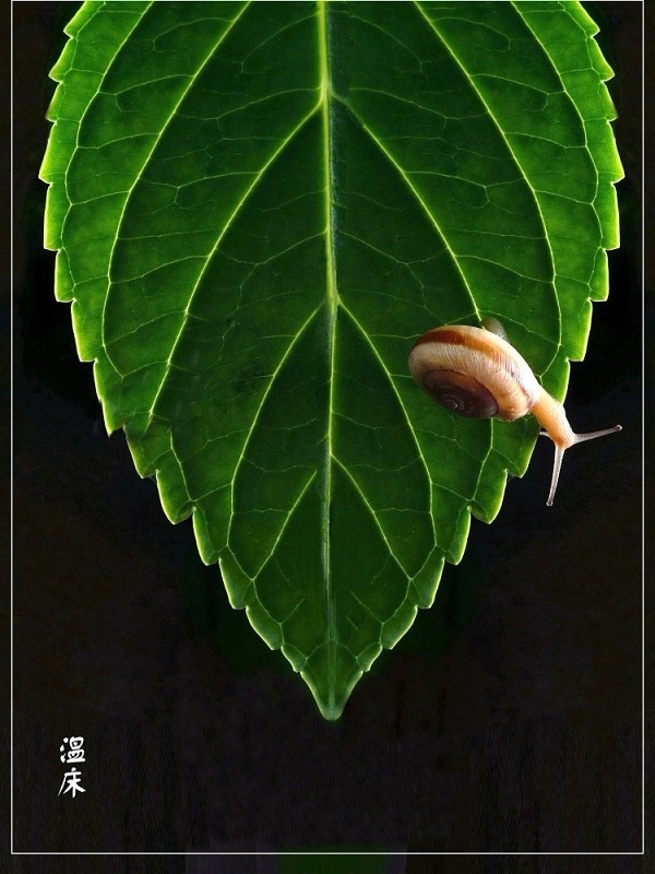 [ԭ][]̡ɽӰƷչƷ