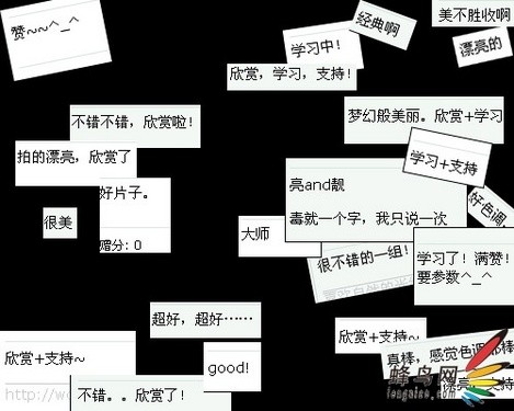 [转帖]中国摄影论坛坏风气，有你么？
