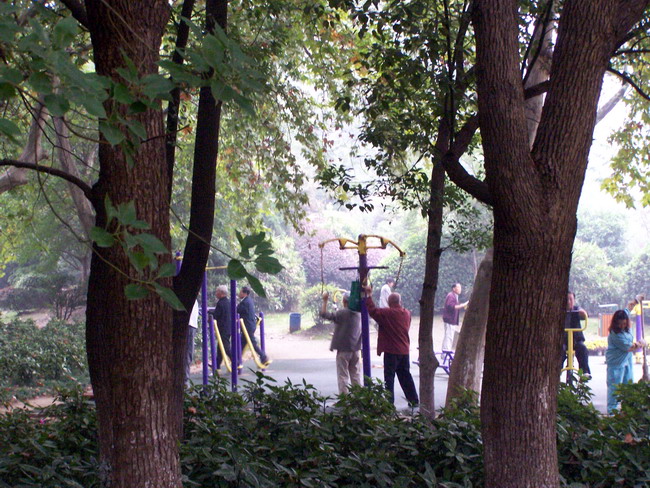 晨练.jpg