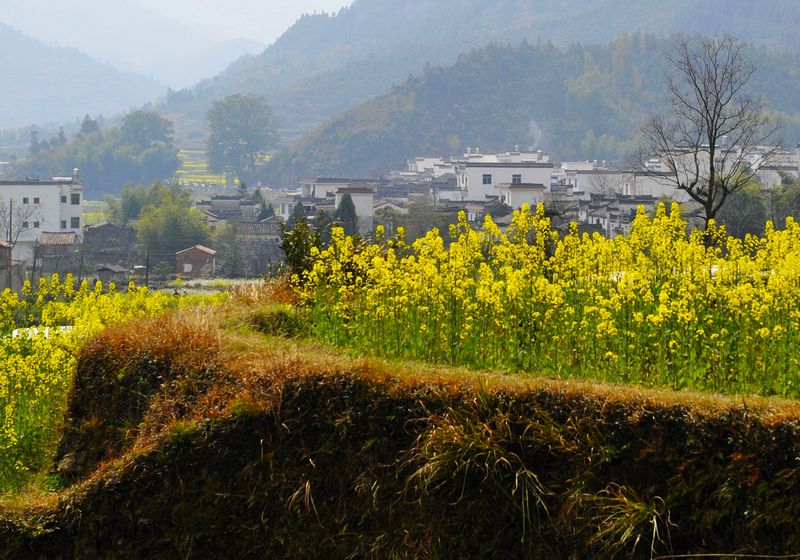 _DSC4800江南村景1.JPG