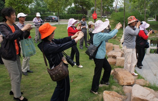 DSC01960_conew1.JPG
