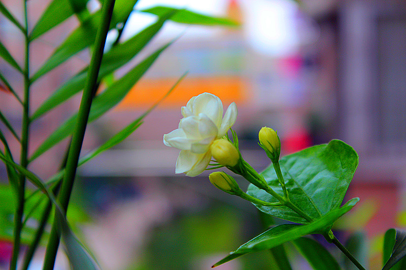 照片 681_副本.jpg