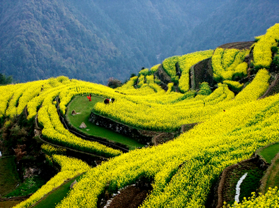 黄花时节 裴亮春摄.JPG