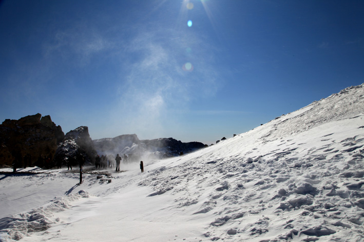 风舞雪飞 454.jpg