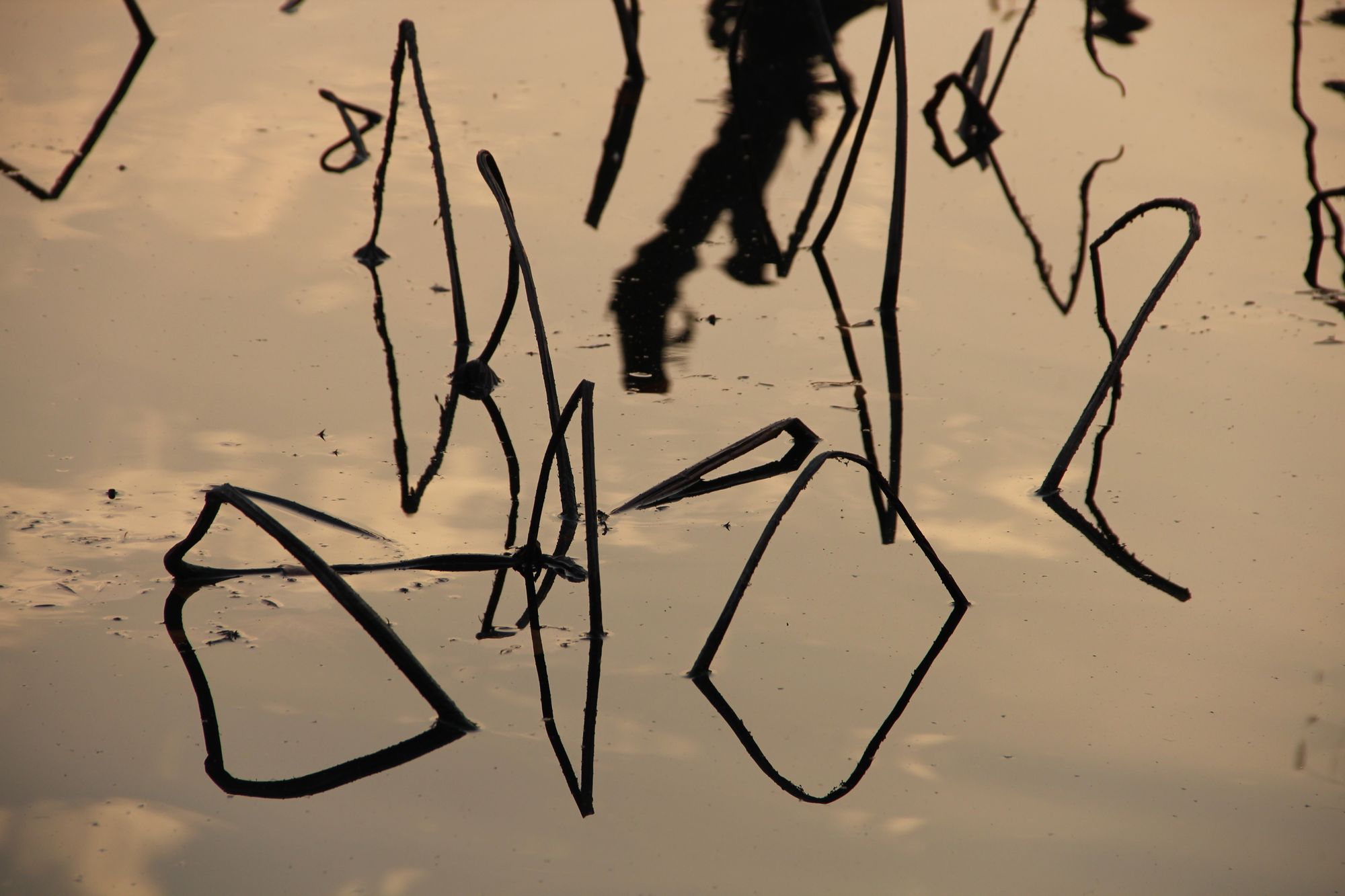 ����1 083-1.jpg