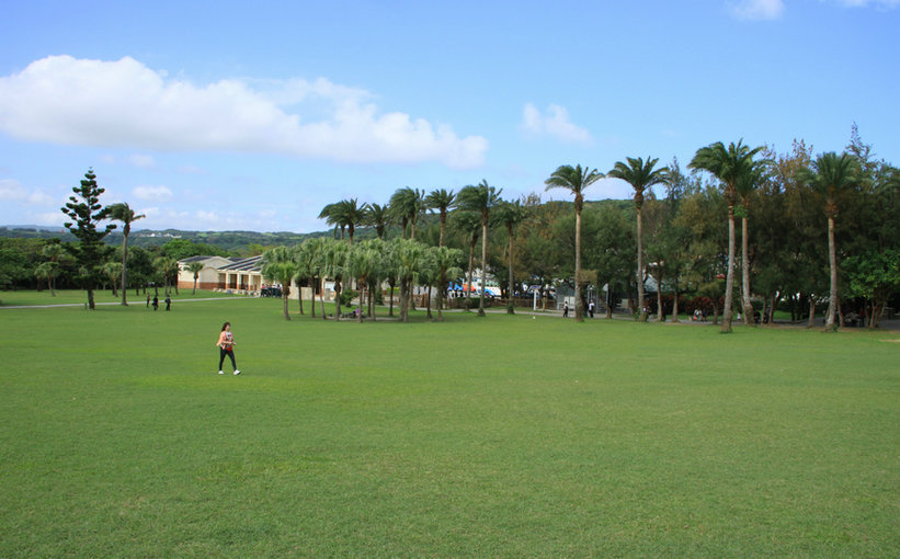 复件 IMG_3412.JPG