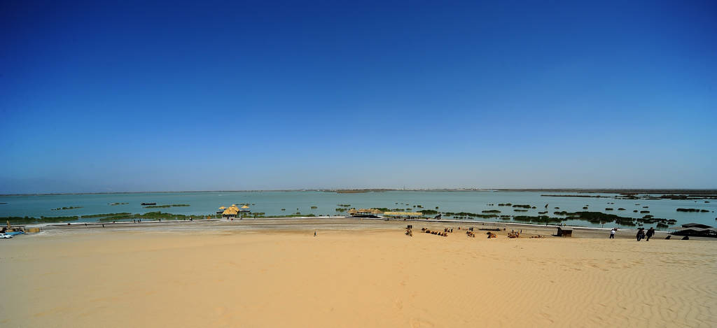 ◇DSC_4982.jpg
