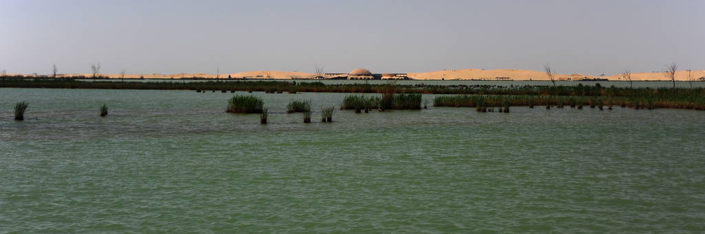 ◇DSC_4926.jpg