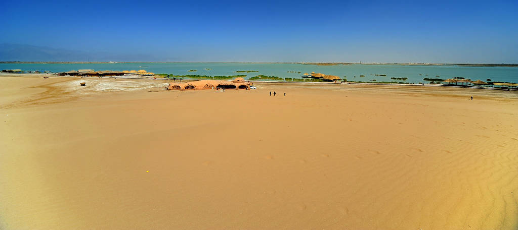 ◇DSC_4988.jpg