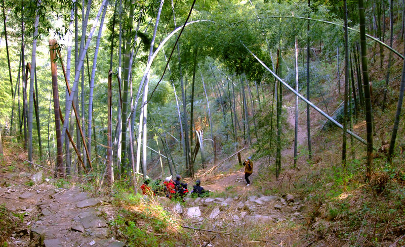 游白际小息.jpg