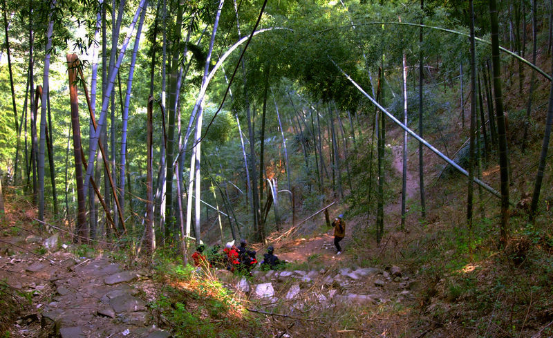 游白际小息a.jpg