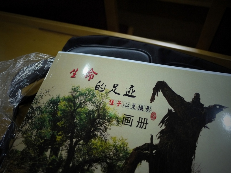 P1080207_HZP.jpg